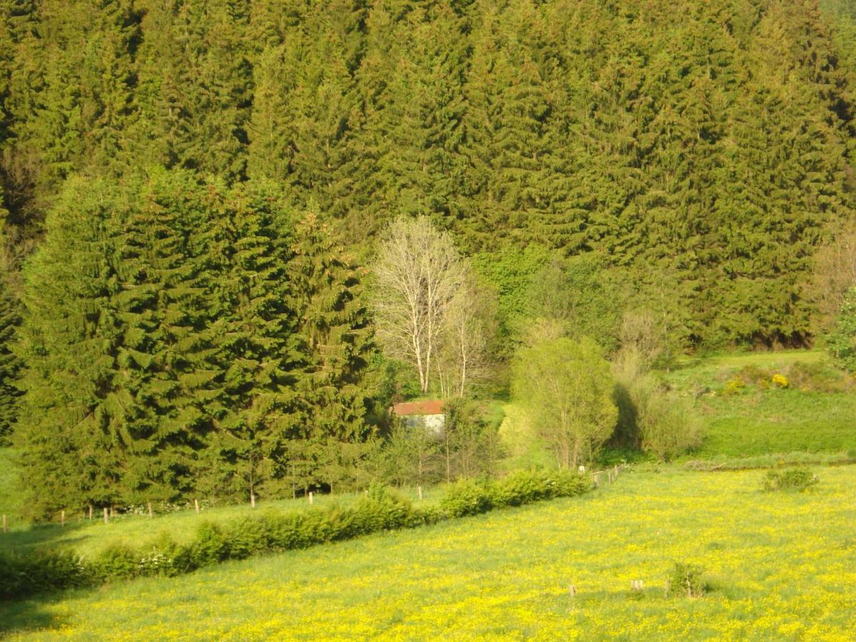 Location Panoramagreen Burg Reuland Extérieur photo
