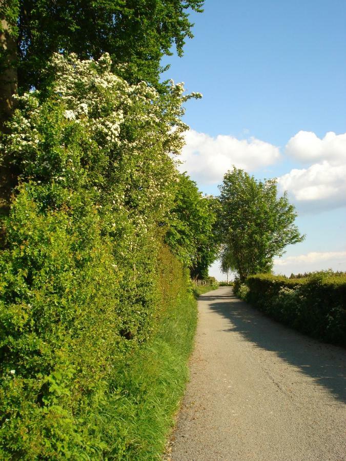 Location Panoramagreen Burg Reuland Extérieur photo