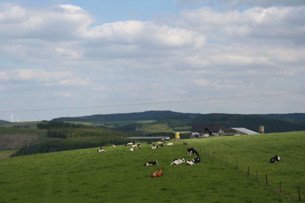 Location Panoramagreen Burg Reuland Extérieur photo